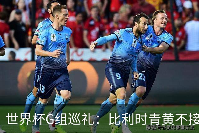 世界杯G组巡礼：比利时青黄不接 伊朗赴美参赛风波不断